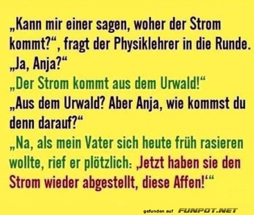 Der Strom kommt aus dem Urwald