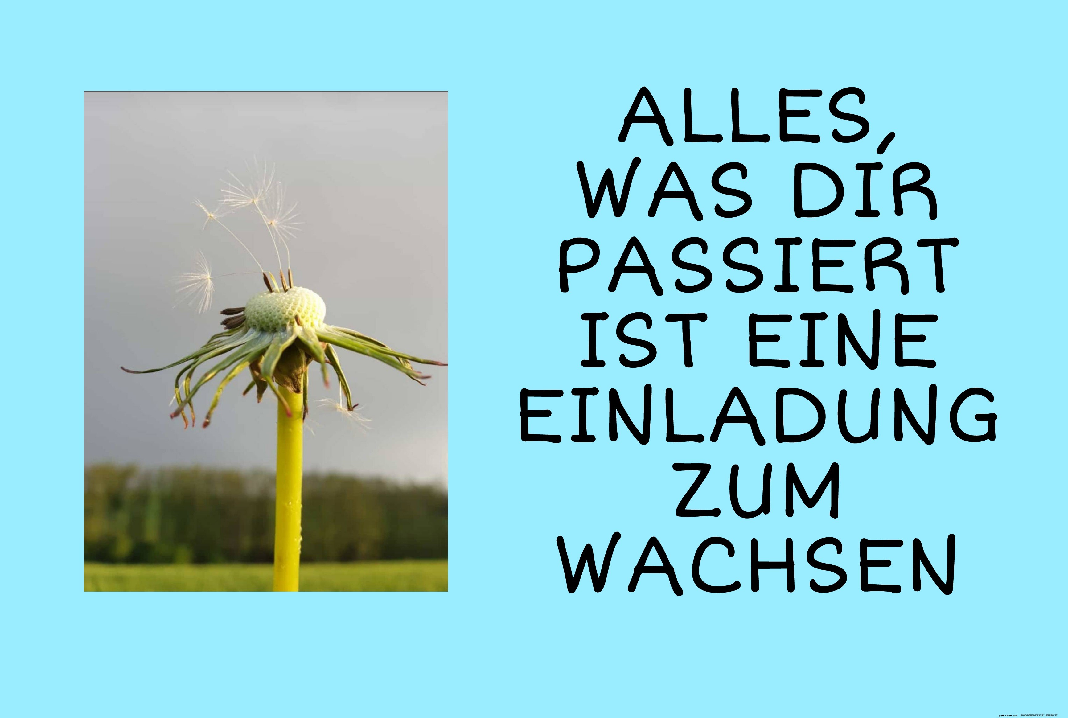 Alles was dir