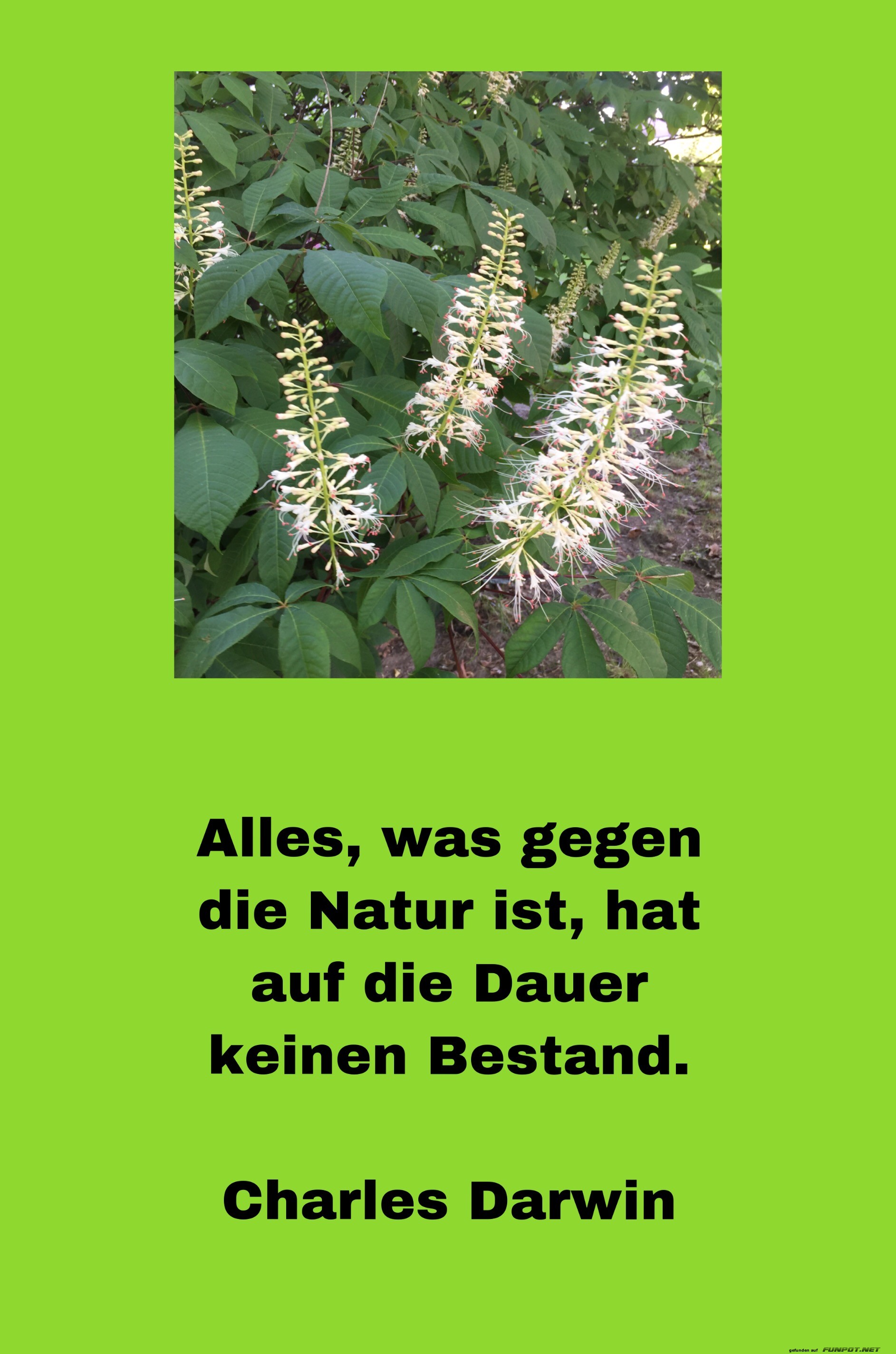 Alles was gegen die Natur ist