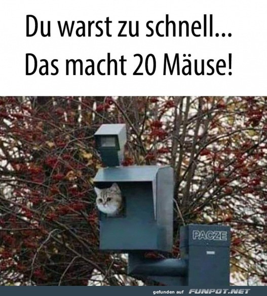 Zu schnell gewesen