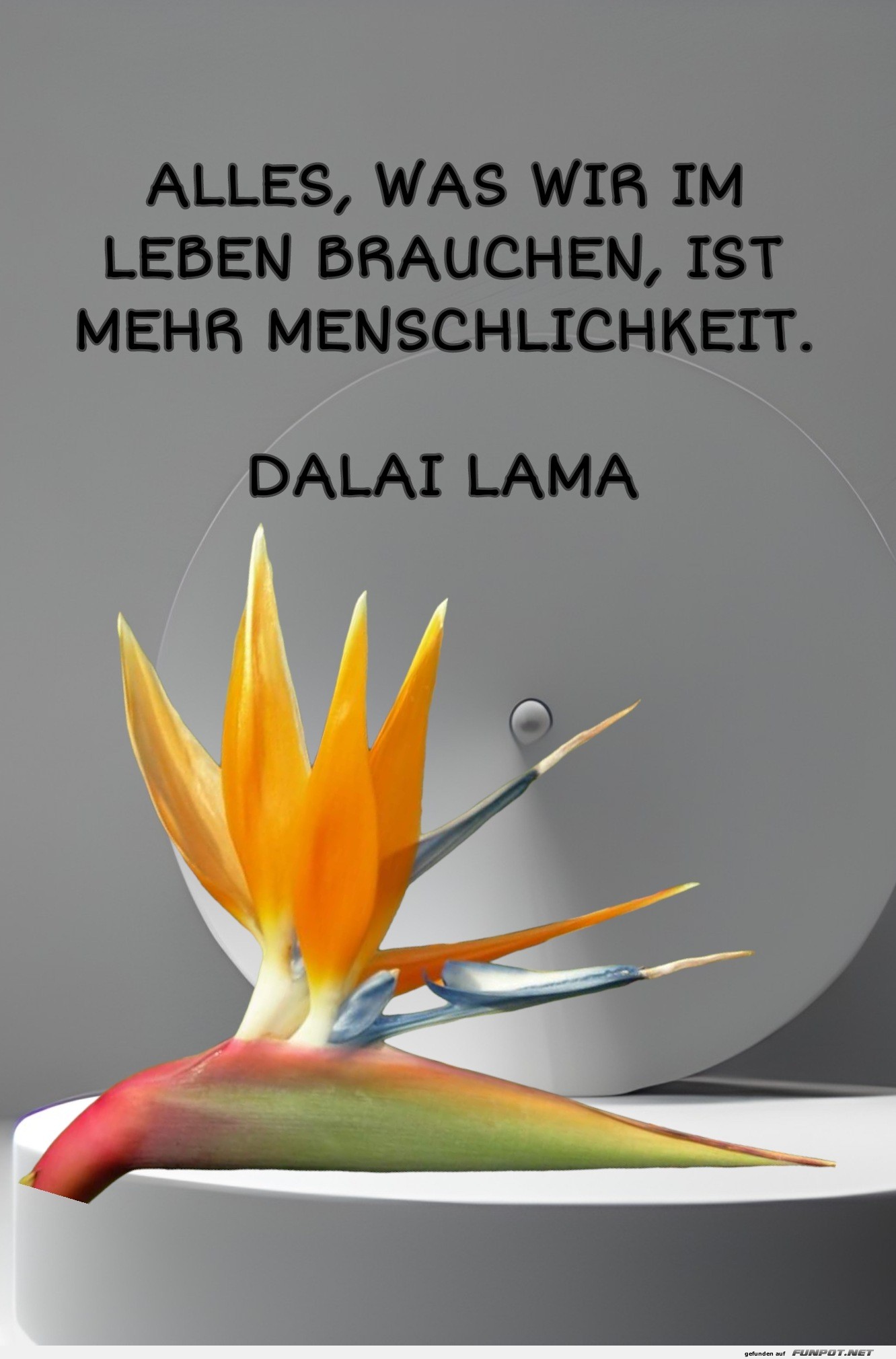 alles was wir im