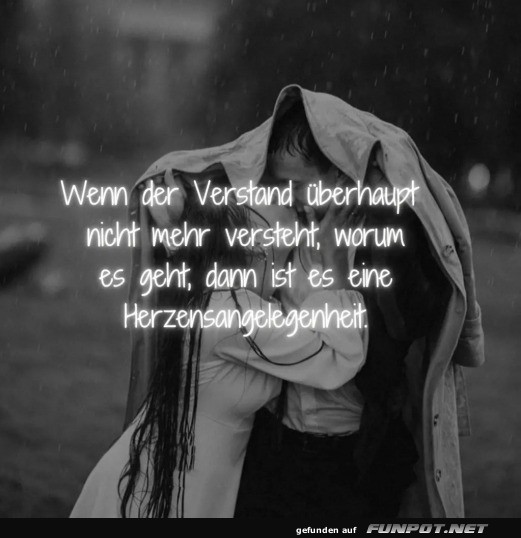 Der Verstand Der Verstand