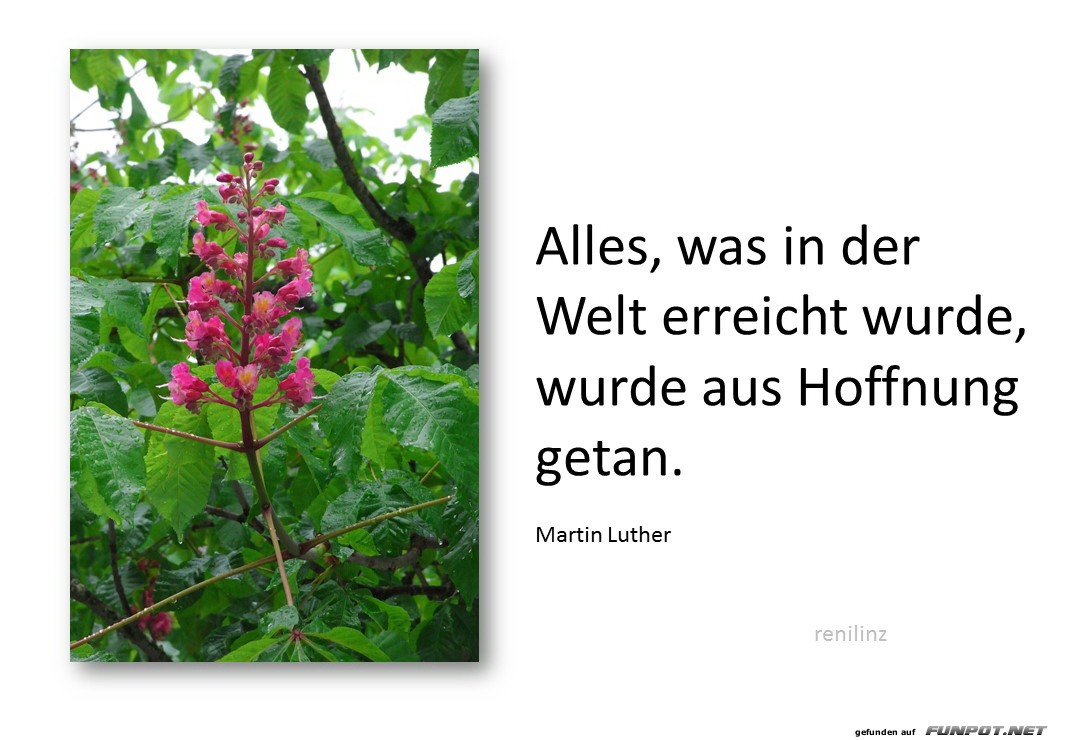 Alles, was in der Welt..