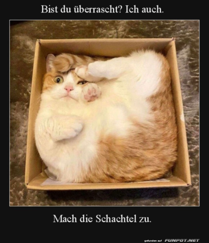 Mach die Schachtel zu