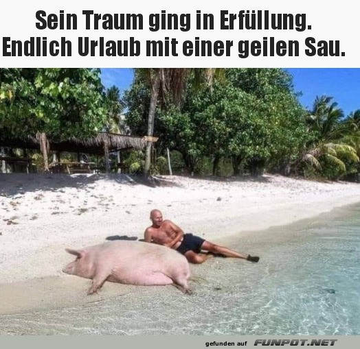 Ein Traum