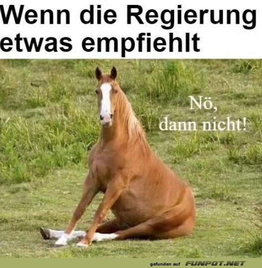 Dann nicht