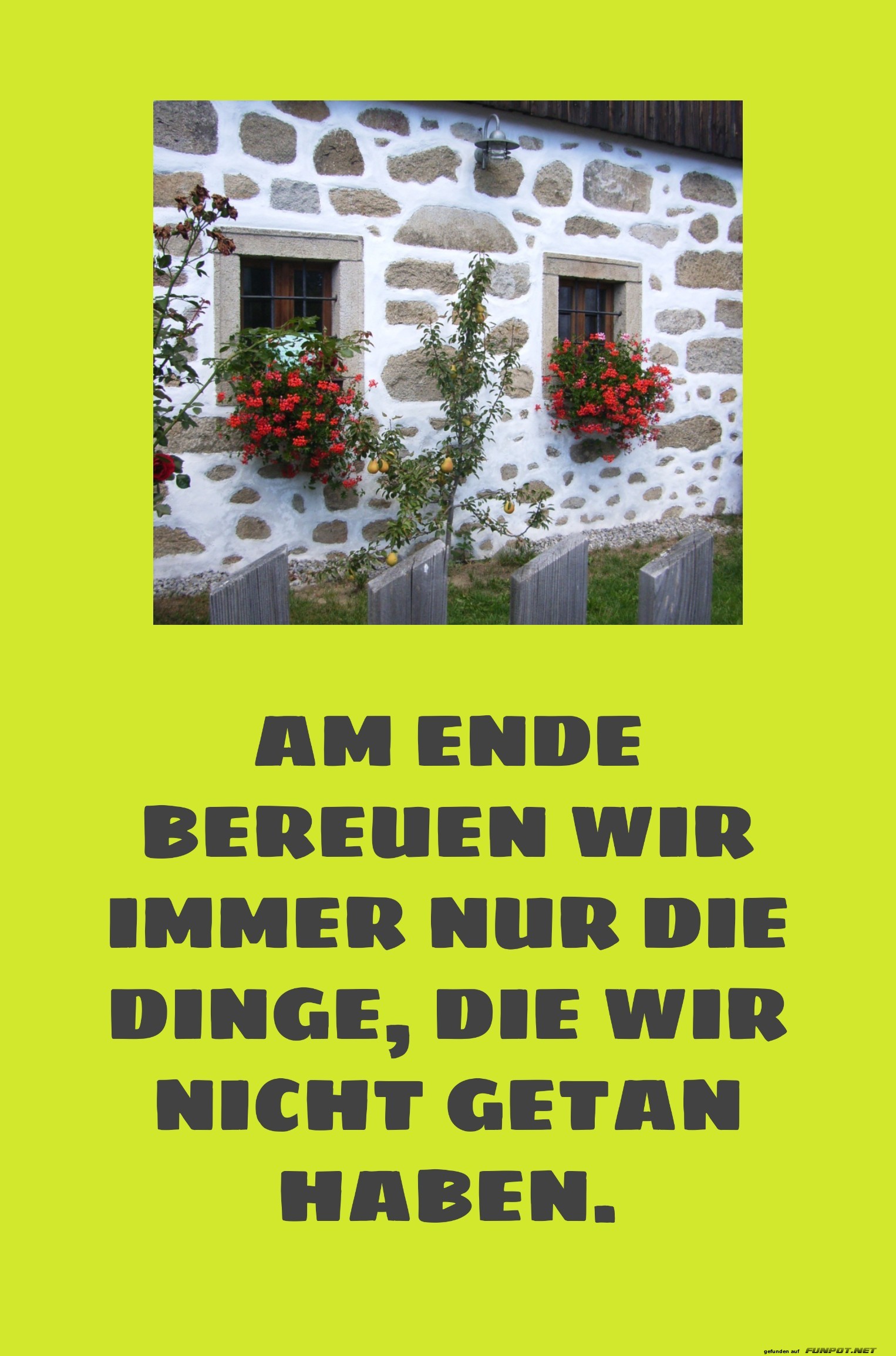 Am ende bereuen wir Am ende bereuen wir