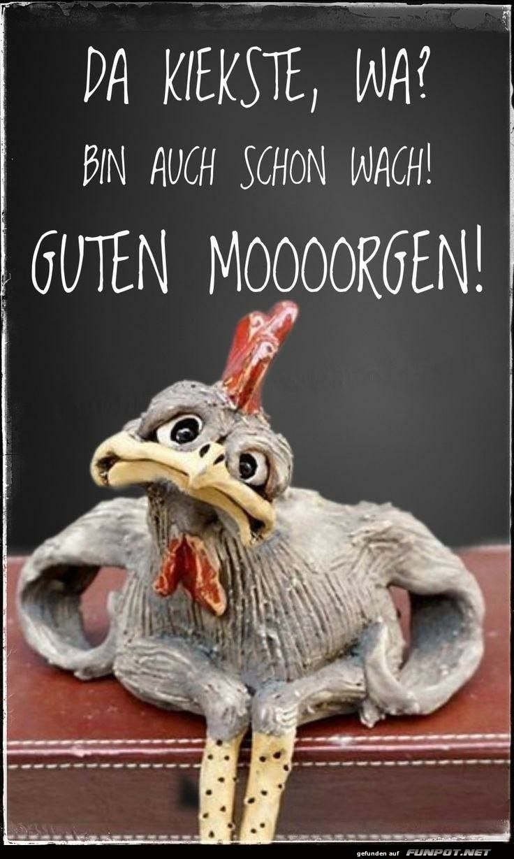 Guten Morgen