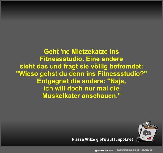 Geht 'ne Mietzekatze ins Fitnessstudio