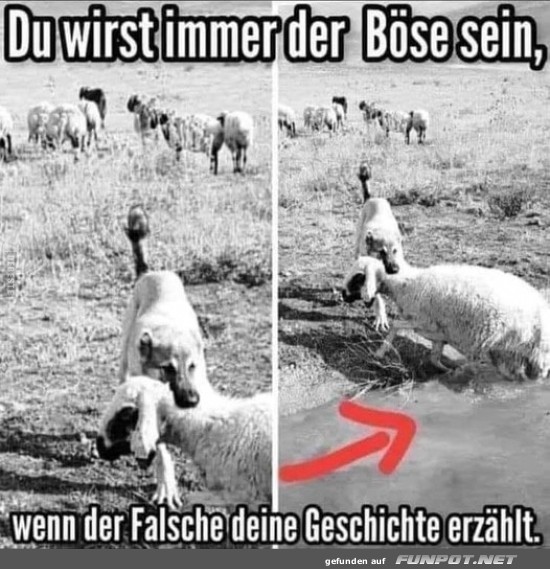 Du wirst immer der Bse sein