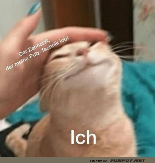 Ich bin stolz