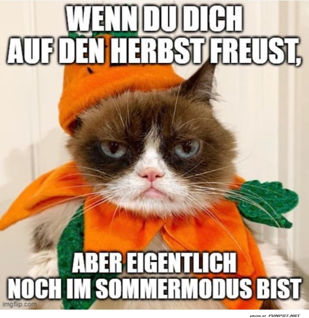 Wenn du dich auf den Herbst freust