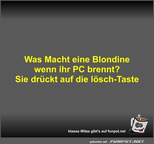 Was Macht eine Blondine wenn ihr PC brennt?