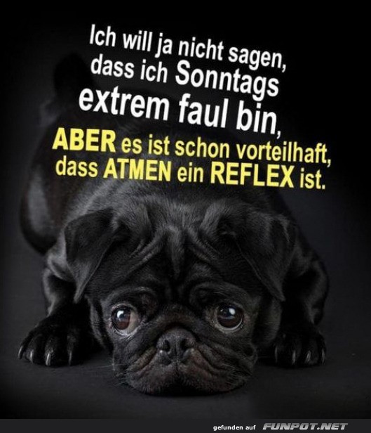 Sonntags faul
