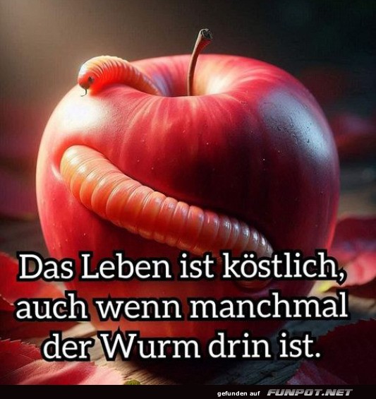 Das Leben ist kstlich