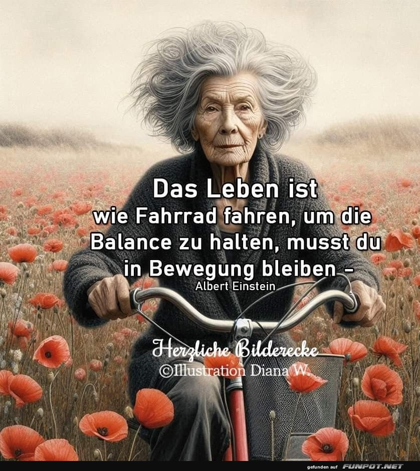 Das Leben ist wie Fahrrad fahren