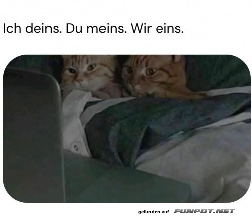 Gemeinsam einen Film gucken