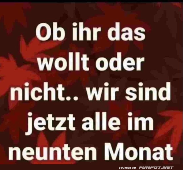 Ob ihr das wollt