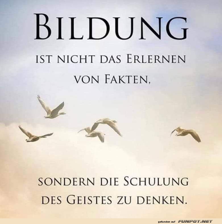 Bildung