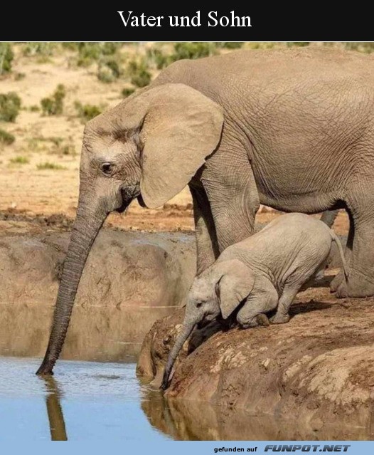 Vater und Sohn