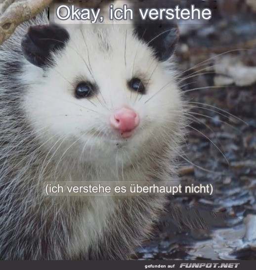 Ich verstehe