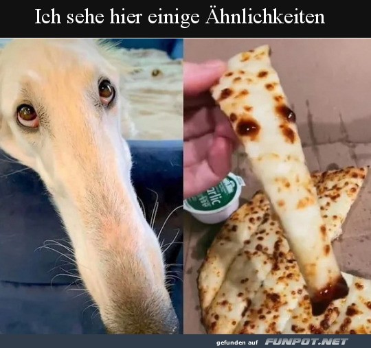 hnlichkeiten vorhanden