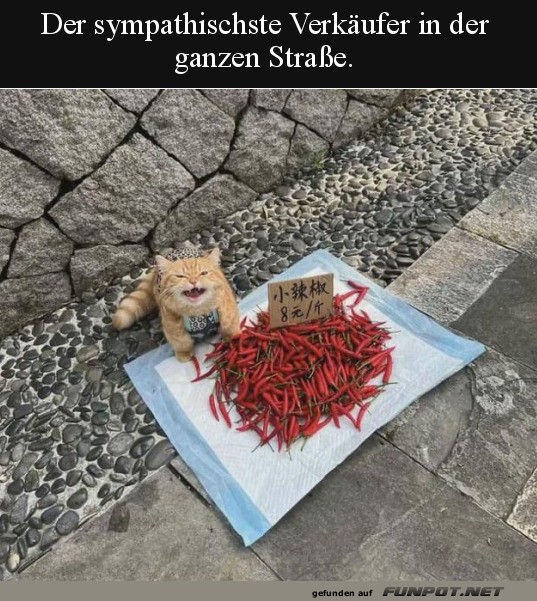 Der netteste Verkufer