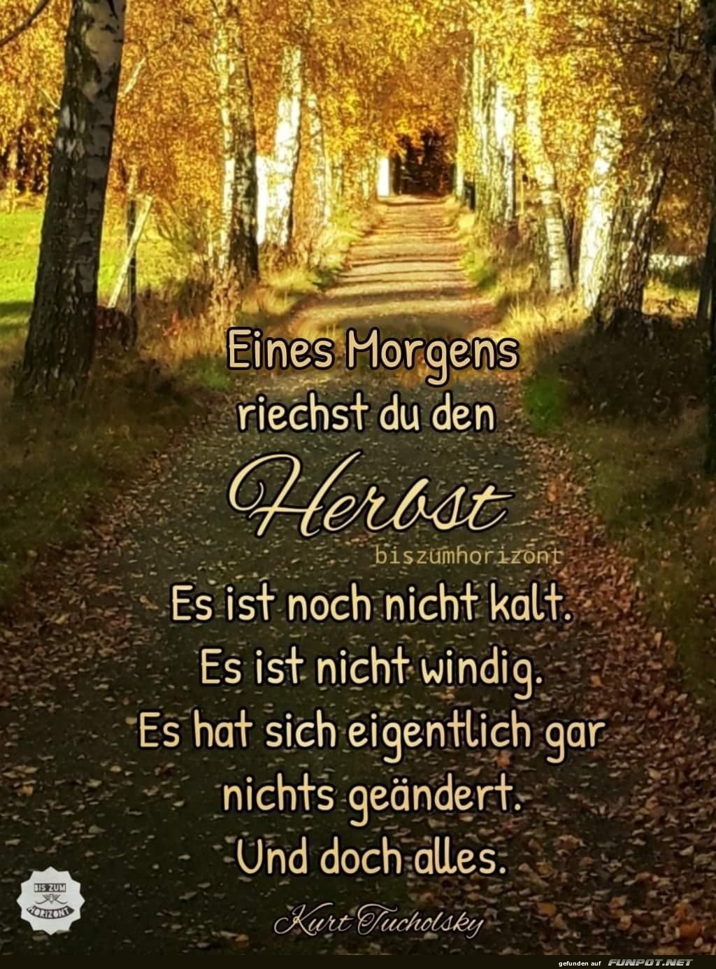 Eines Tages riechst du den Herbst