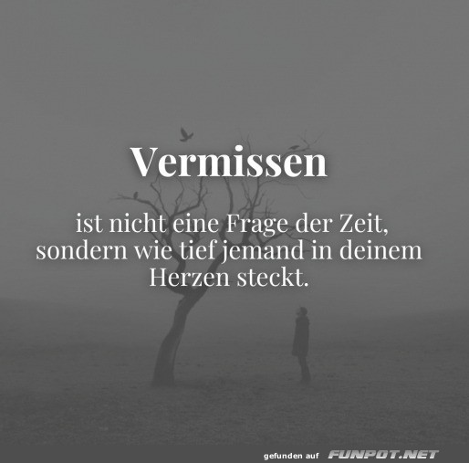 Vermissen