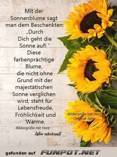 Mit der Sonnenblume