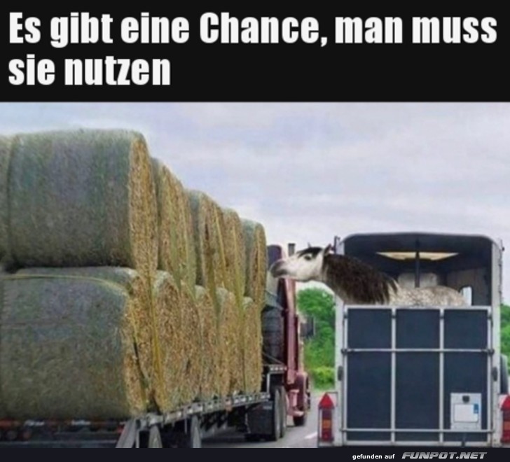 Nutze jede Chance