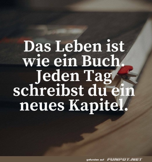 Das Leben ist wie ein Buch