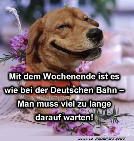 Die Sache mit dem Wochenende