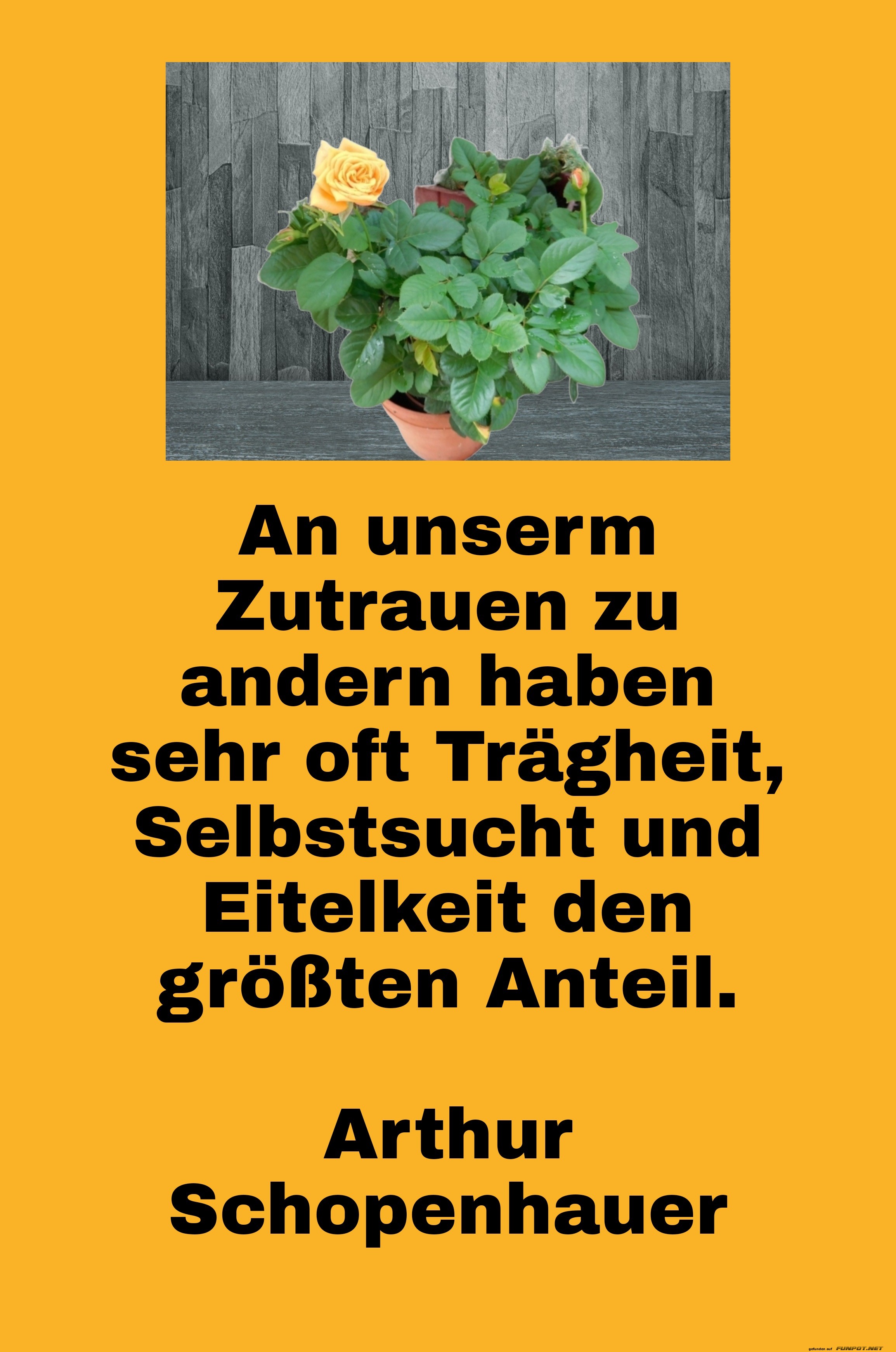 An unseren Zutrauen