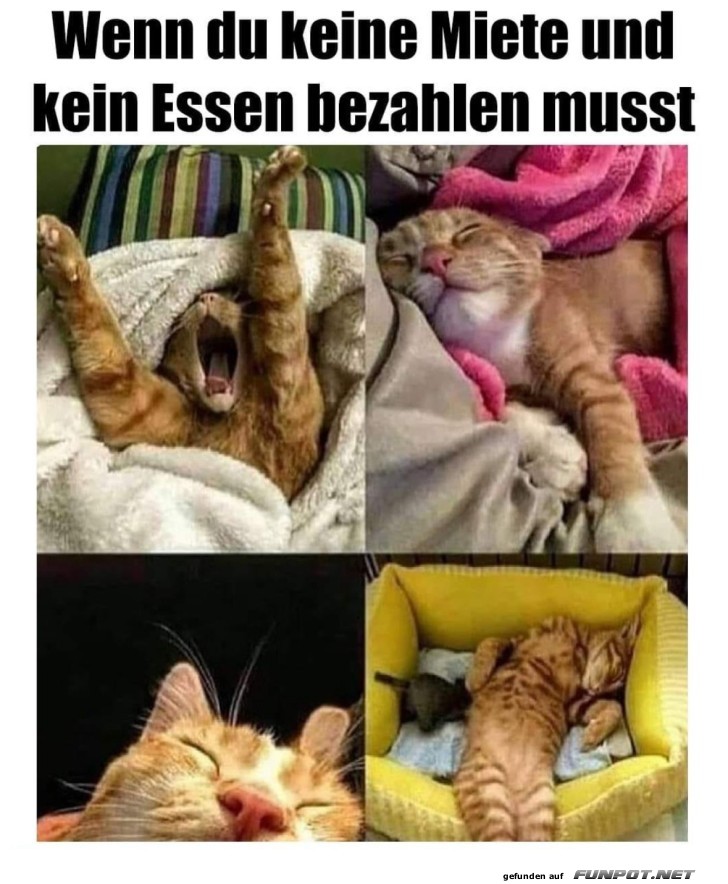 so lsst es sich aushalten