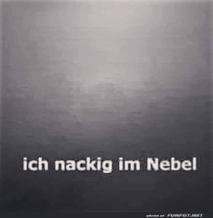 Im Nebel