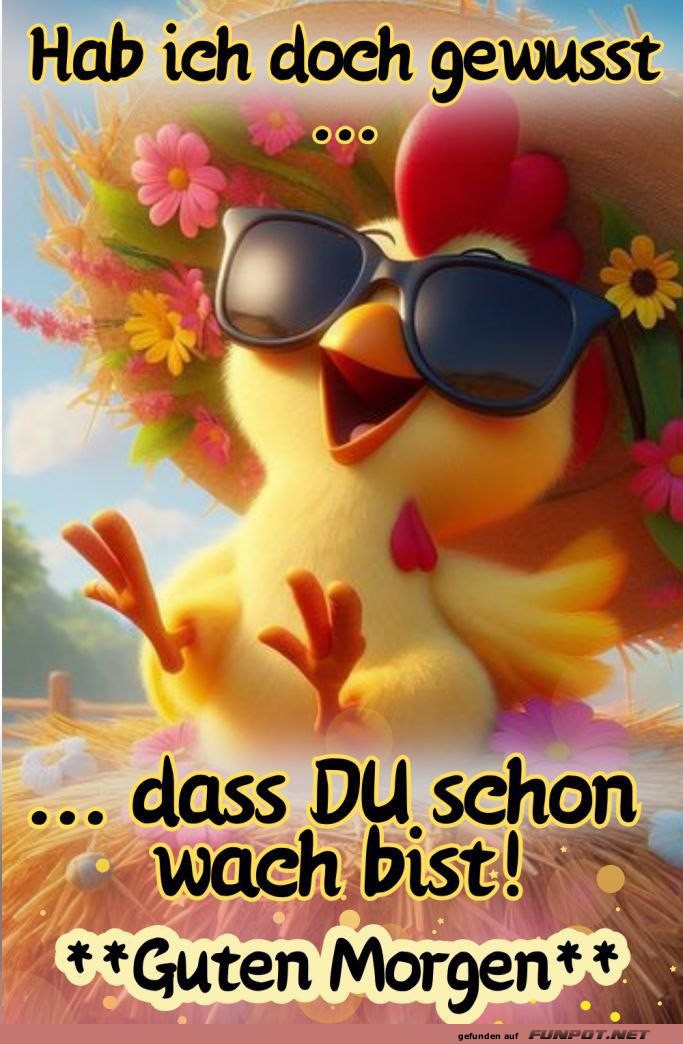 guten Morgen