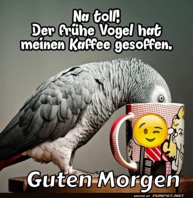 Guten Morgen