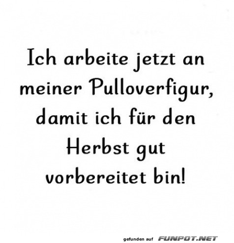 Die Pulloverfigur