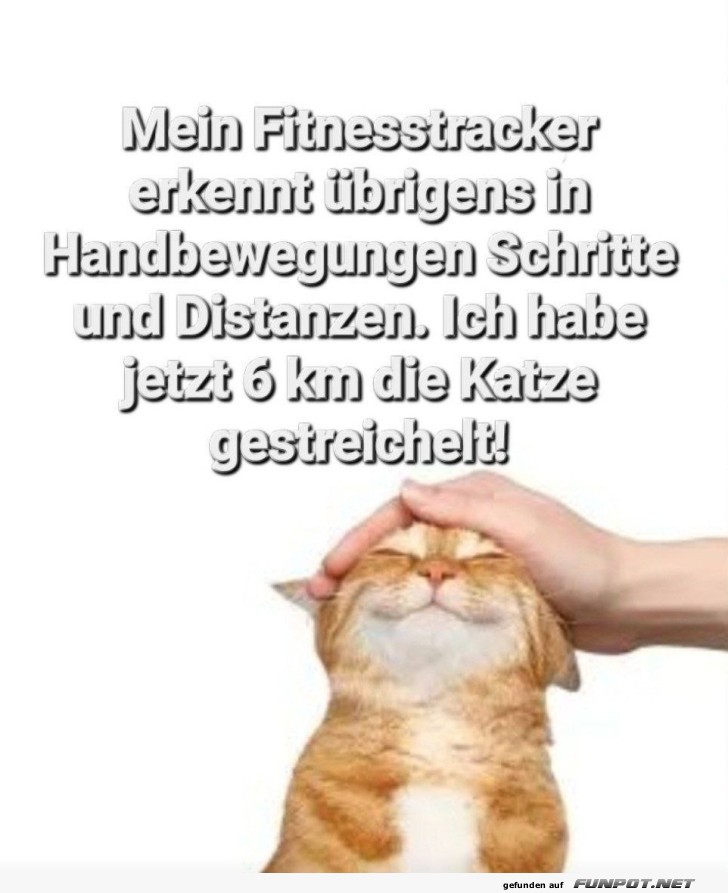 Der Fitnesstracker