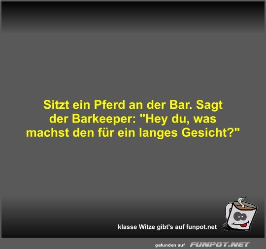 Sitzt ein Pferd an der Bar