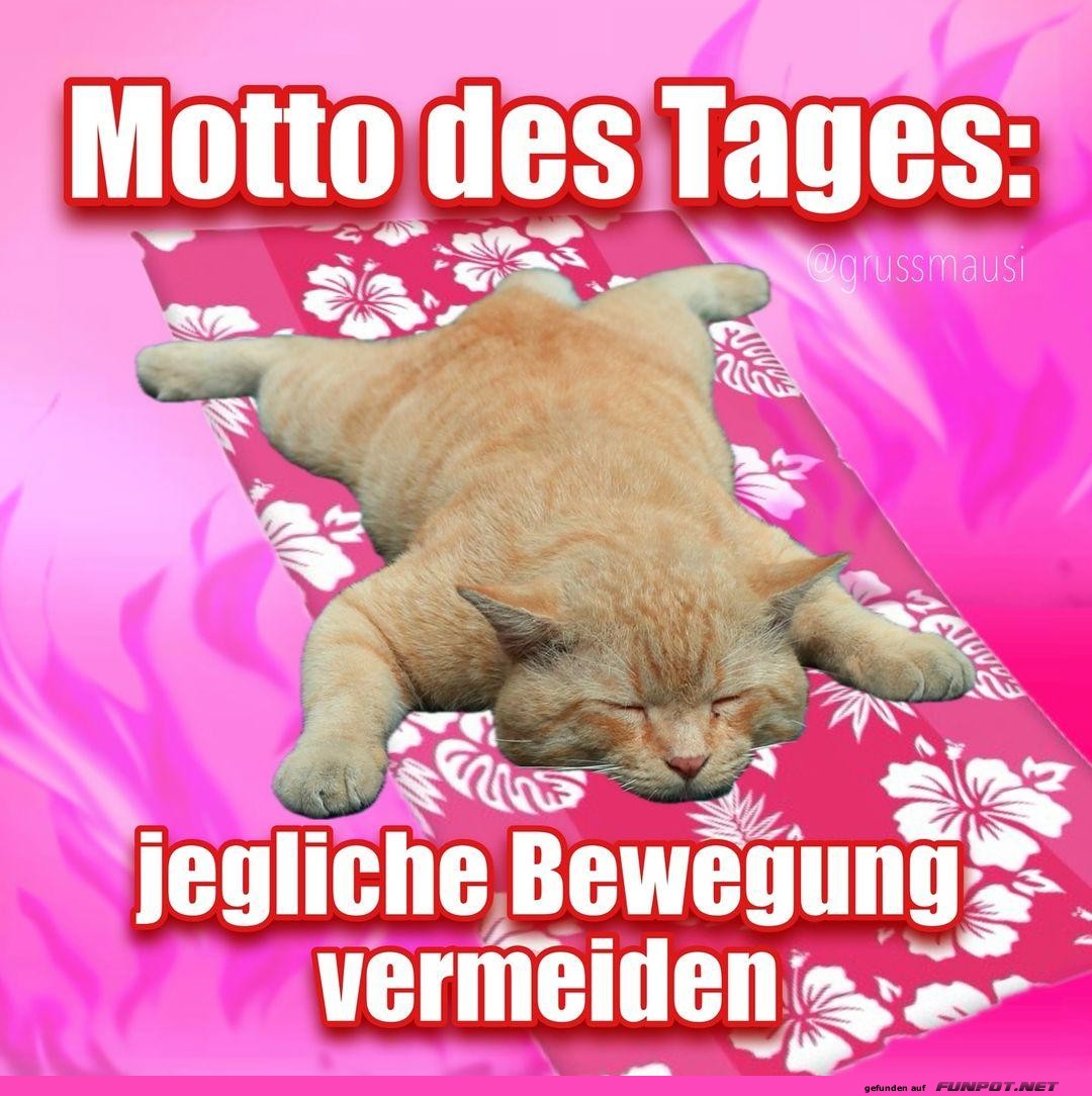 Motto des Tages