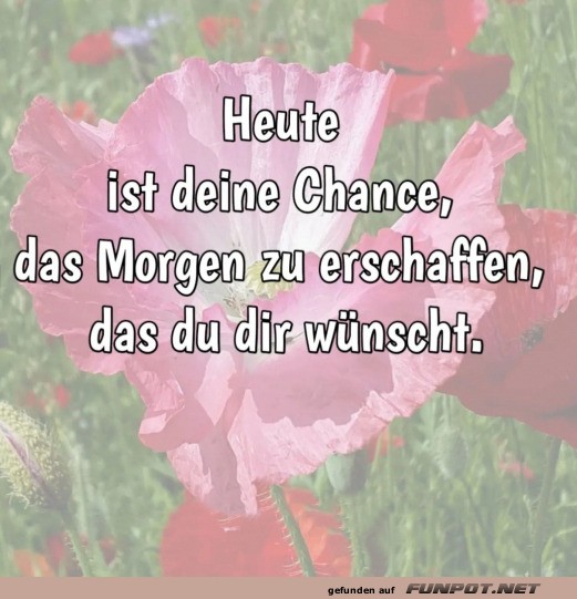 Heute ist die Chance