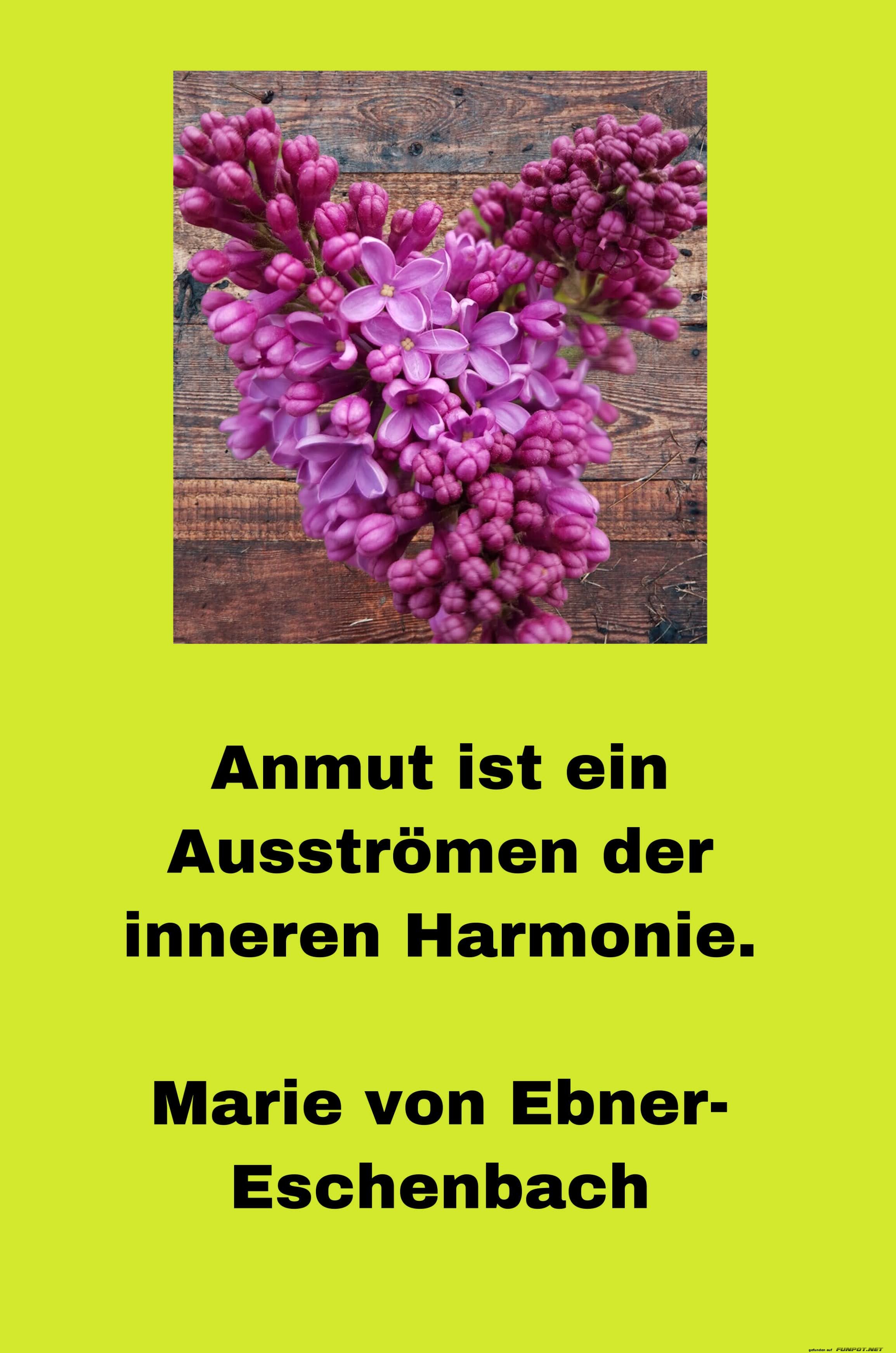 Anmut ist ein Ausstrmen