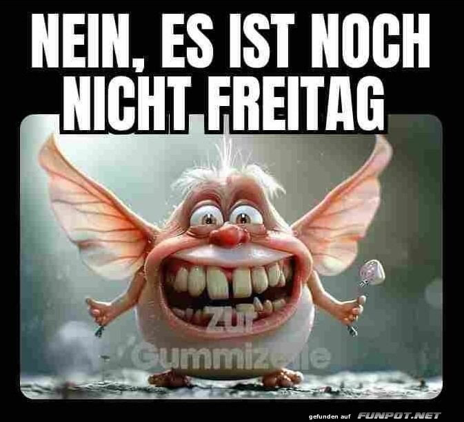 Nein Nein