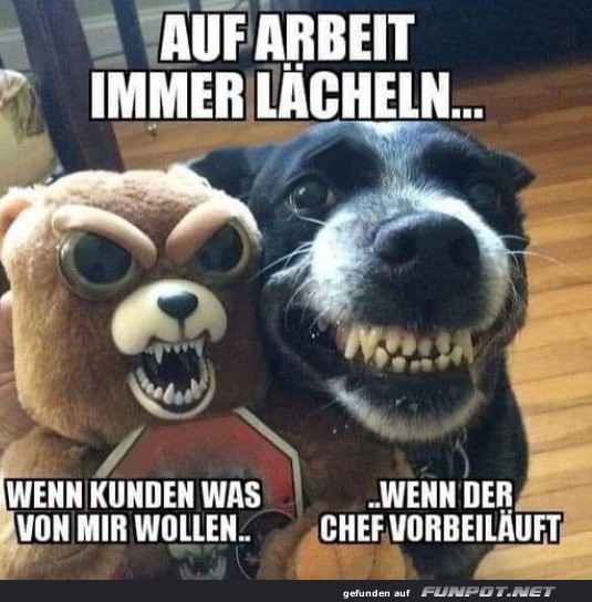 Immer lcheln