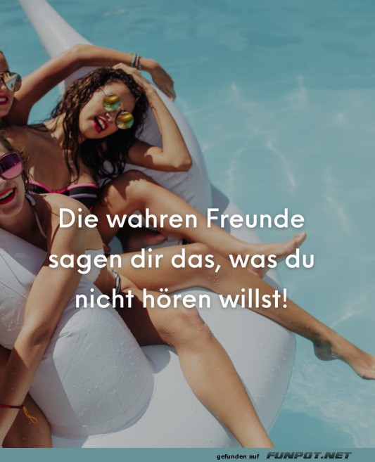 Die wahren Freunde