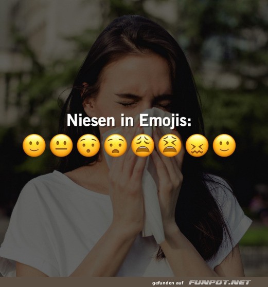 Niesen in Emojis