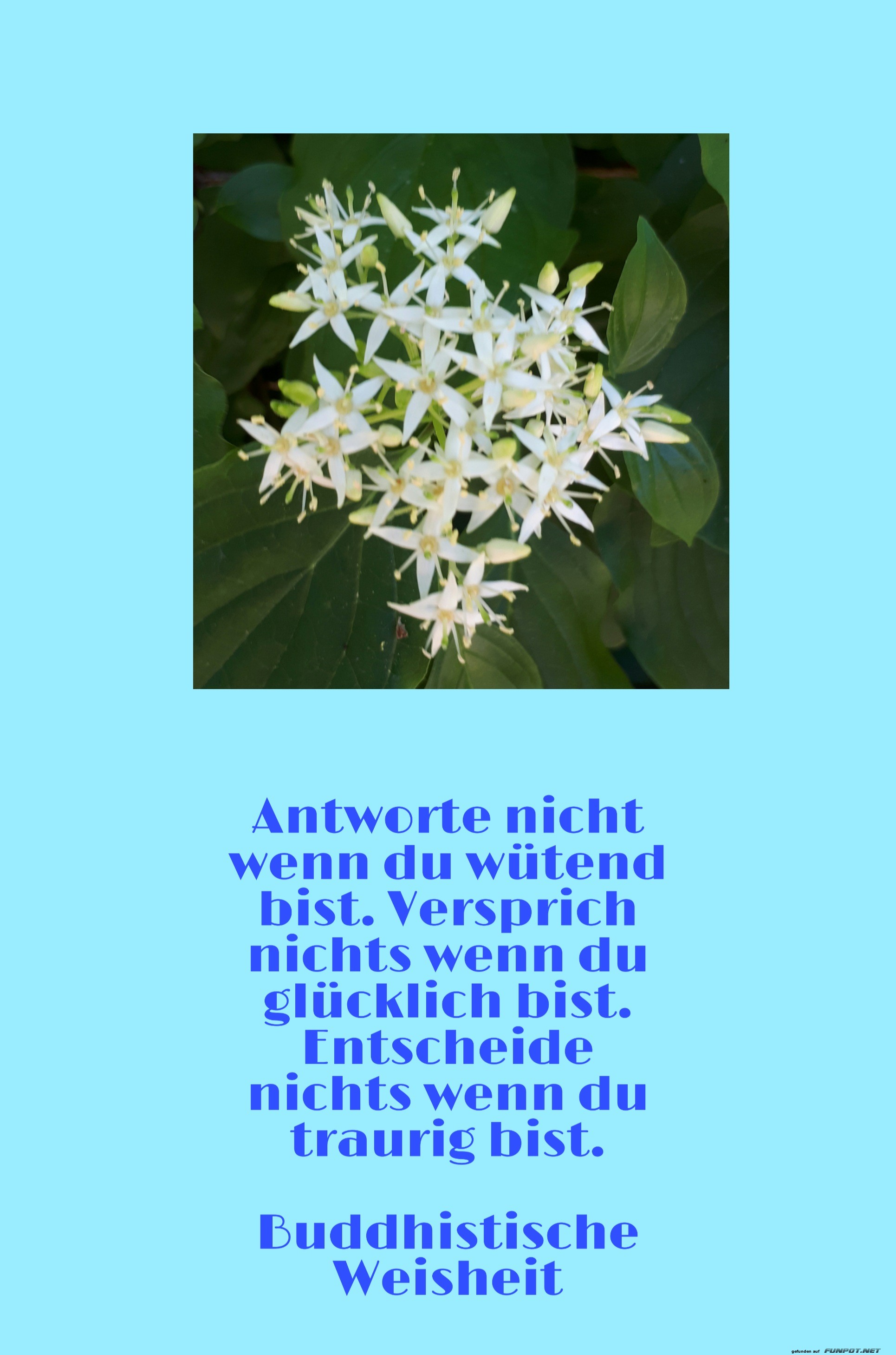 antworte nicht