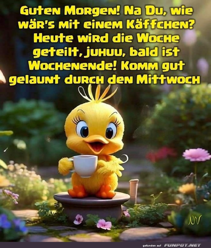 Guten Morgen am Mittwoch